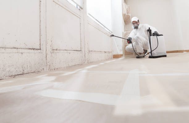24/7 Emergency Attic Mold Removal experts in Livingston, TX