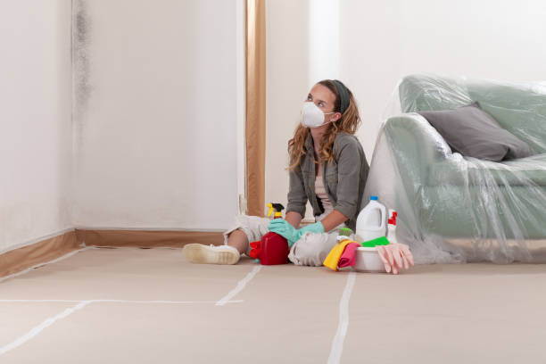 Reliable Mold Remediation contractor in Livingston, TX by Cheap Mold Removal